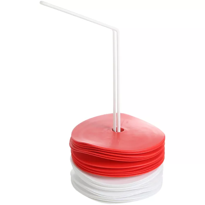 Kit 24 discs diam 15cm with holder