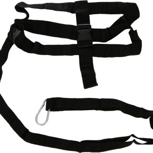 Resistance harness