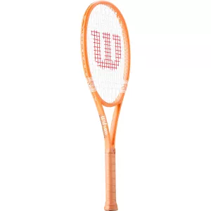Mini racket WILSON roland garros 2026
