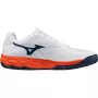 Chaussures MIZUNO wave enforce court 2 terre battue