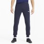 PUMA casual team goal 23 pants