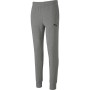 PUMA casual team goal 23 pants