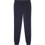 PUMA casual team goal pants