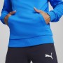 PUMA casual team goal hoodie