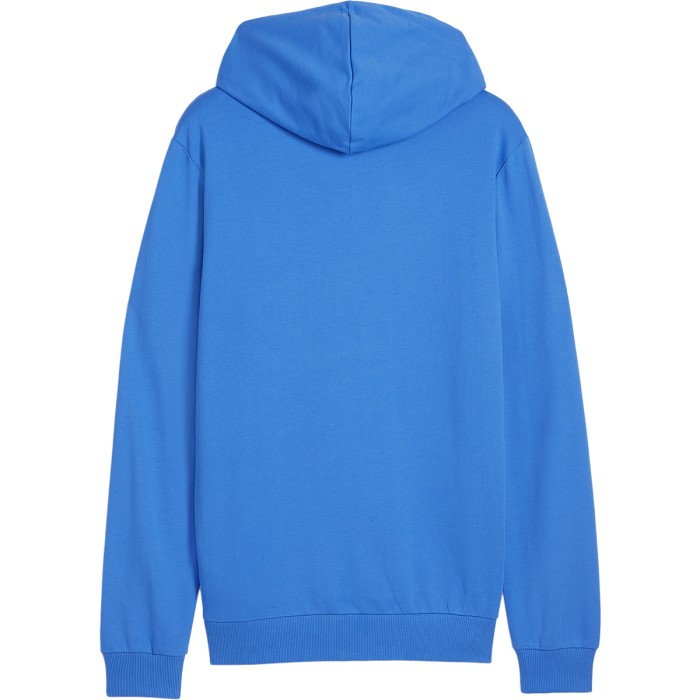PUMA casual team goal hoodie