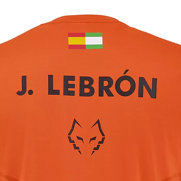 T-shirt BABOLAT padel lebron replica