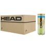 Box of 24 tubes of 3 balls HEAD padel pro s +