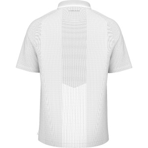 Polo HEAD performance