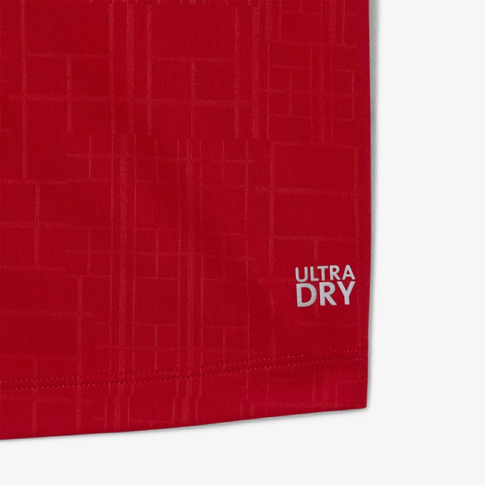 Polo LACOSTE djokovic on court asie / europe