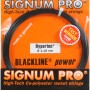Cordage SIGNUM PRO hyperion  (12 metres)