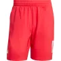 Short ADIDAS club 3 bandes 7in