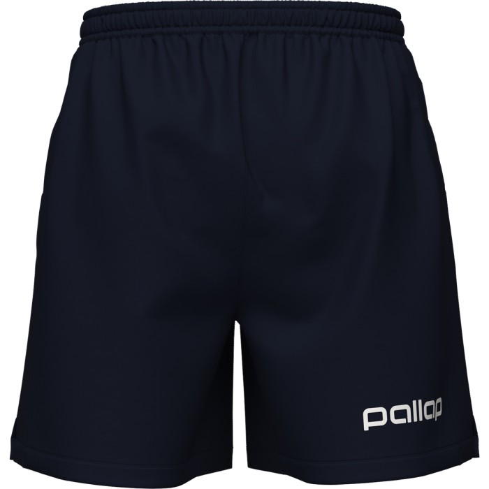 Short PALLAP competition