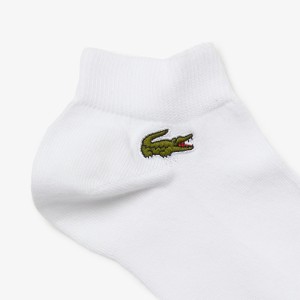 Pair of LACOSTE core performance socks (low)