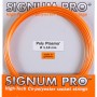 Cordage SIGNUM PRO poly plasma original (12 metri)