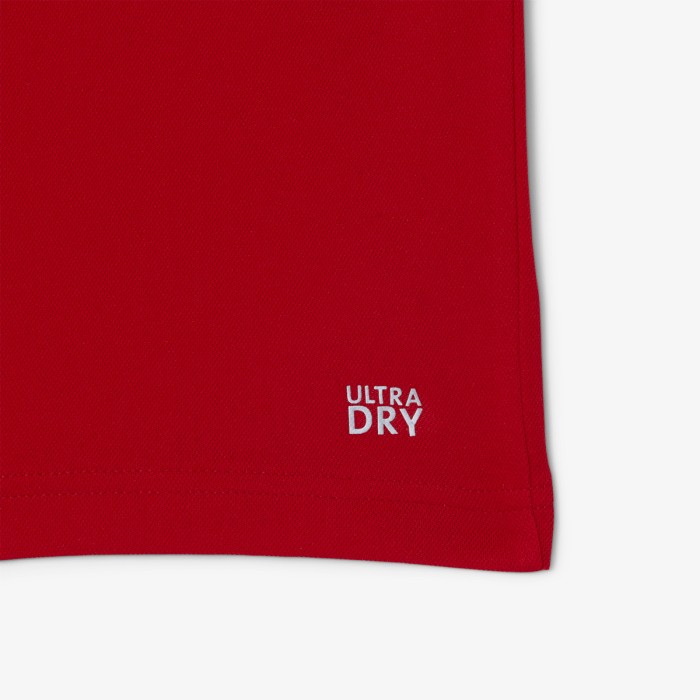 T-shirt LACOSTE djokovic fan asie / europe