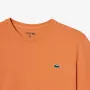 T-shirt LACOSTE medvedev graphique euro clay
