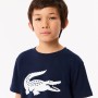 T-shirt LACOSTE junior croco