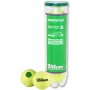 Tube of 4 WILSON starter play balls