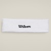 WILSON logo galvas lenta