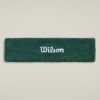 WILSON logo galvas lenta