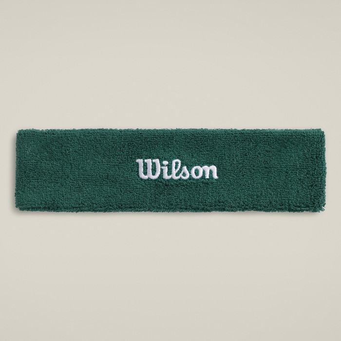 WILSON logo galvas lenta