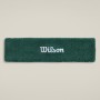 WILSON logo galvas lenta