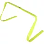 Dzīvžogs augstums 22 cm