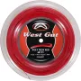WEST GUT mt21 poly plasma spole (spole - 200m)