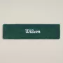 Bandeau WILSON logo