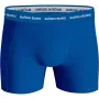 Pack de 3 boxers BJORN BORG sports coton stretch