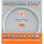 SIGNUM PRO poly plasma hextreme pure rope (12 metres)