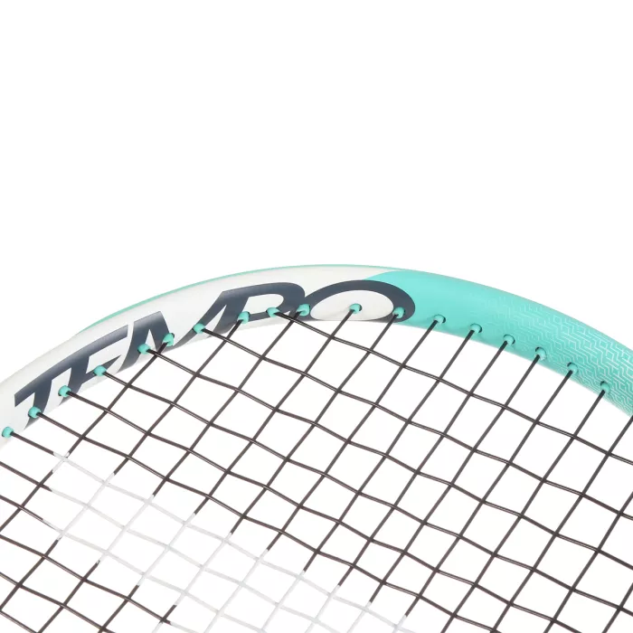 Raquette TECNIFIBRE tempo 265 v2.0 (265gr) (cordee)