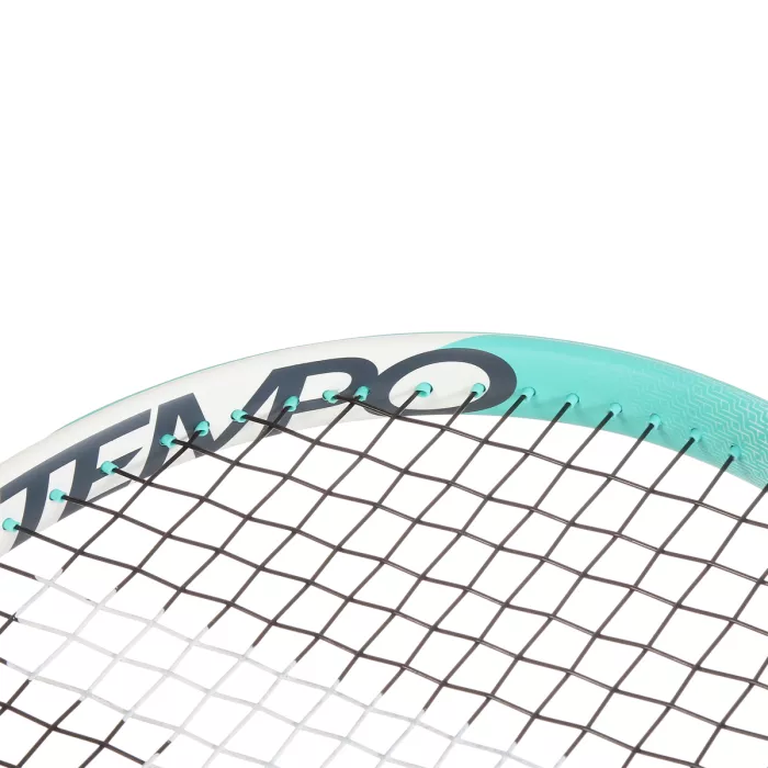 Raquette TECNIFIBRE tempo 275 v2.0 (275gr) (cordee)