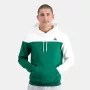 Sweat LE COQ SPORTIF a capuche modele 2