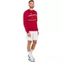 TECNIFIBRE team sweater