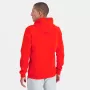 LE COQ SPORTIF essentiels hoodie