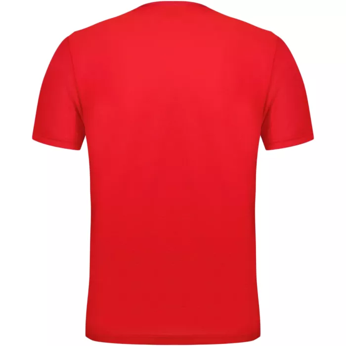 T-shirt LE COQ SPORTIF tennis