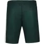 Junior LE COQ SPORTIF tennis pro new york shorts