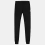 LE COQ SPORTIF pants essentials regular