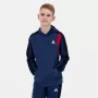 Sweat LE COQ SPORTIF junior tricolore a capuche