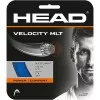 Cordage HEAD velocity mlt