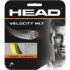 Cordage HEAD velocity mlt