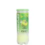 Tube of 3 green HEAD tip balls