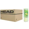 Carton de 24 tubes de 3 balles HEAD tip vert