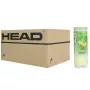 Carton de 24 tubes de 3 balles HEAD tip vert