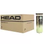 Carton de 24 tubes de 3 balles HEAD tour xt