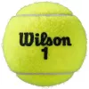 Tube of 3 WILSON roland garros clay court balls