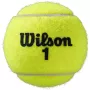 Tube of 4 WILSON roland garros clay court balls