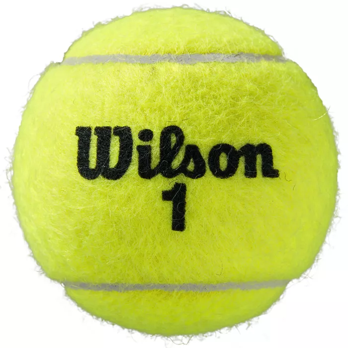 Bipack of 4 WILSON roland garros official clay balls