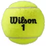 Bipack of 4 WILSON roland garros official clay balls